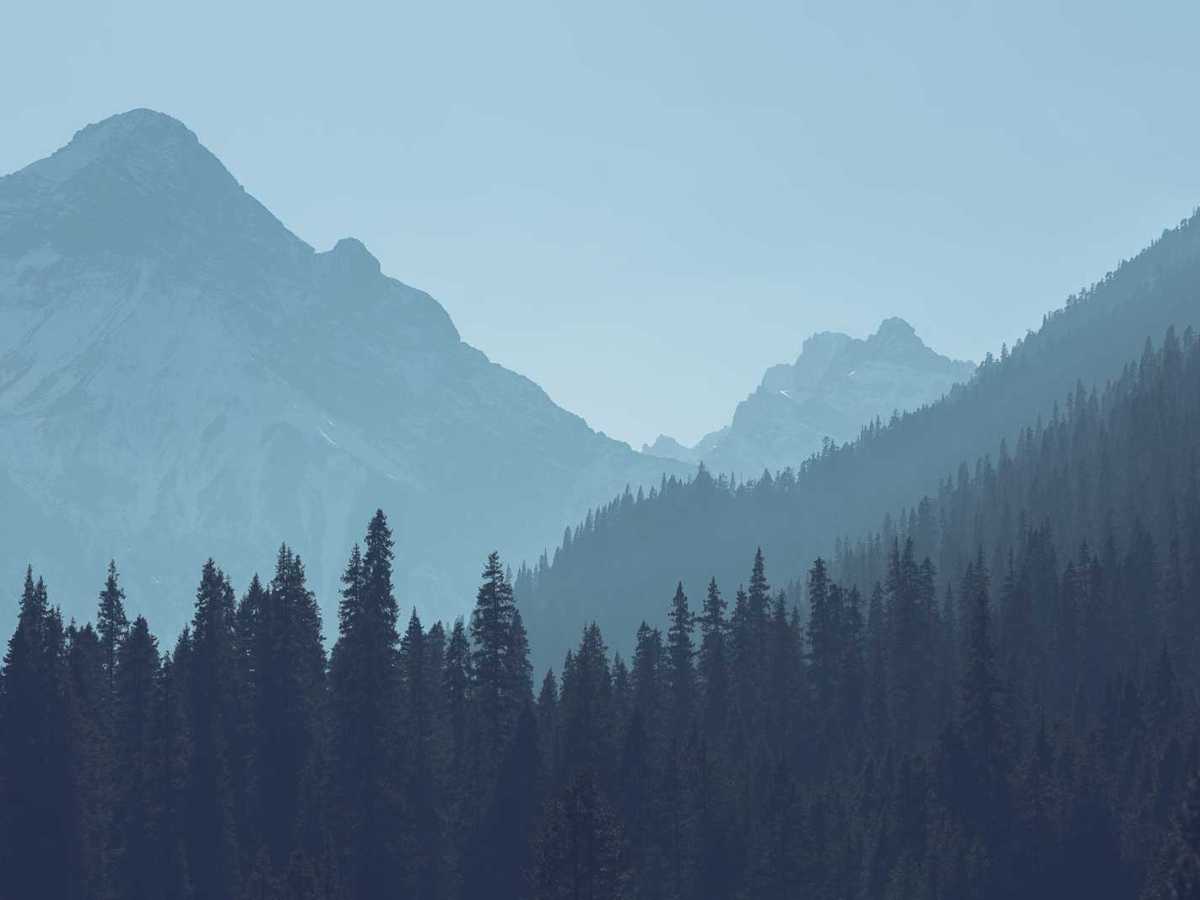 Old Grudges Die&nbsp;Hard